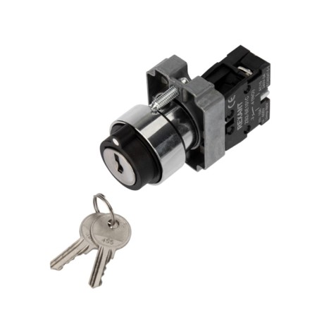 BD21 2P switch with NO lock