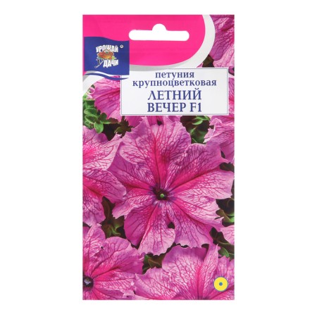 Petunia flowers "Summer evening", F1, 10pcs