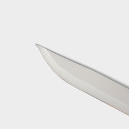 Knife Kitchen shade "Straip", blade 15 cm, blue color-2
