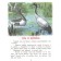 A terrible beast. Tales and stories. Ushinsky K.D., Tolstoy L.N.