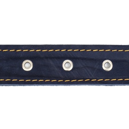 Leather collar on synthetic winterizer, dimensionless, 71 x 3.5 cm, Osh 29-62 cm, blue-4