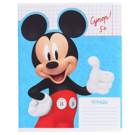 Notebook in a cage 12 sheets, 5 types of mix, cover coated paper, Mickey Mouse-2