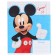 Notebook in a cage 12 sheets, 5 types of mix, cover coated paper, Mickey Mouse