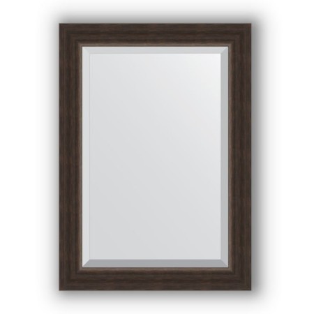 Mirror with fatset in the baguette frame - Palander 62 mm, 51 x 71 cm, Evoform