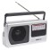 Radio receiver "ether-06", FM 64-108MHz, 220 V