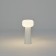 MANTRA FARO, E27, 1x20W, 500 mm table lamp, white color