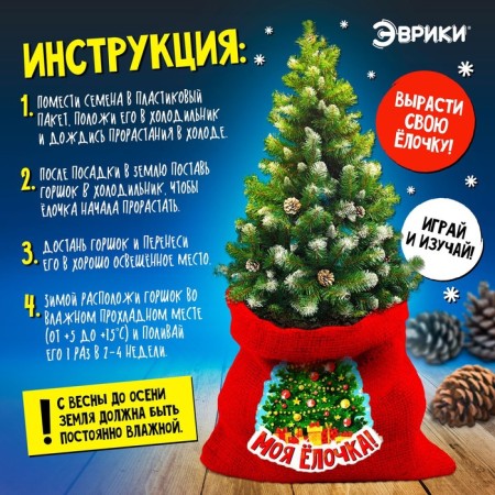 Set for experiments "grow a Christmas tree"-2