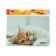 Mouse mat Perfeo Cat Fig. 8, 350x300x3 mm