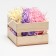 Filler with a murmur 50 g. "Rainbow", mix