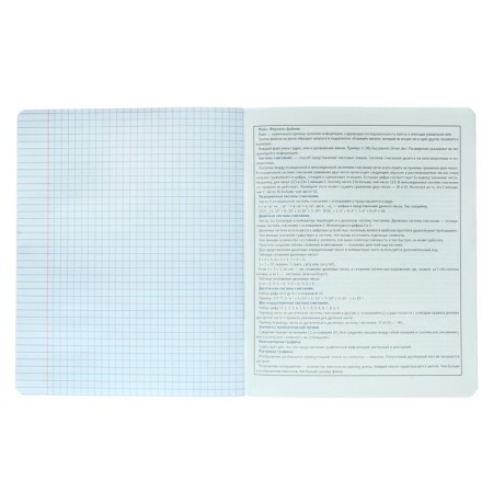 A notebook “Bright details”, 48 sheets in the cage “Informatics”, covered cardboard, selective twin-lak, UV-lak, OFSET block-4