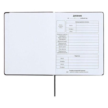 Universal diary for grades 1-11 "strip", solid cover of artificial leather, silkography, lies, 48 ​​sheets, black+blue-3