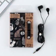 Set of wires + headphones 