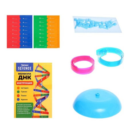 Set for experiments "DNA molecule", in the package-1
