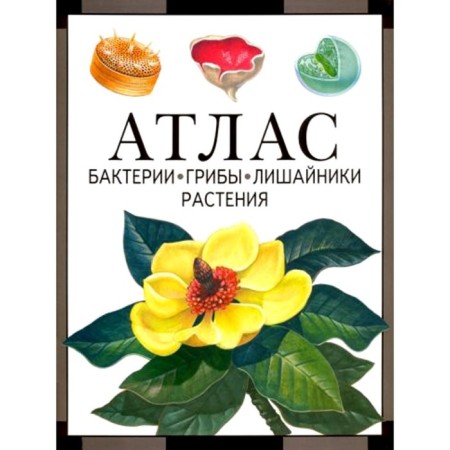 Bacteria, fungi, lichens, plants. Atlas. 4th edition. Cherepanov I.V.