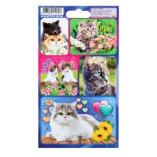 Cat stickers 11 x 17 cm, mix
