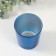 Set for growing plants "grow grass" blue