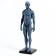 Model "Human Body" 29cm
