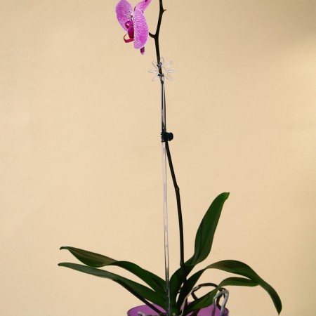 Support for orchids, h = 44 cm, plastic, transparent, mix-2