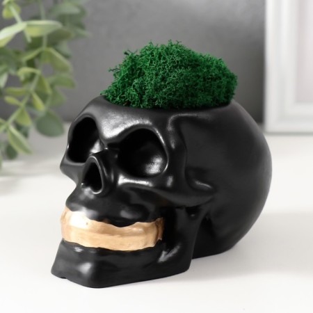 Concrete Kashpo "Skull Money" with moss 7x11 cm black with golden teeth (moss green stabil)-3