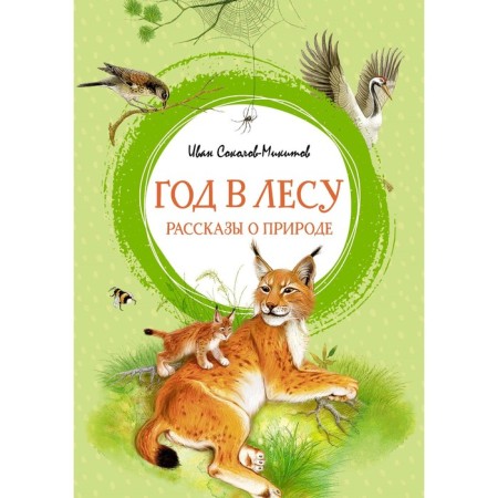 Year in the forest. Stories about nature. Sokolov-Mikitov I.