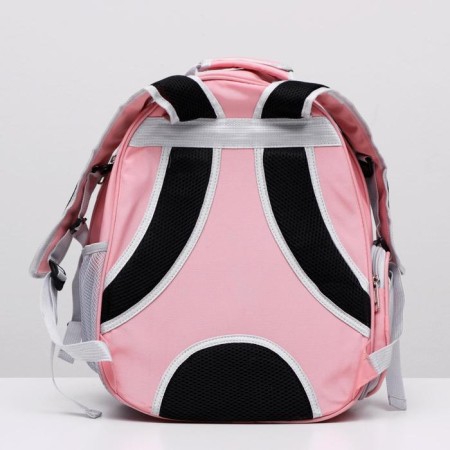Backpack for carrying animals, transparent, 31 x 28 x 42 cm, pink-3