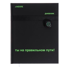 Дневник универсальный для 1-11 класса Compass, твёрдая обложка, искусственная кожа, шелкография, ляссе, 80 г/м2