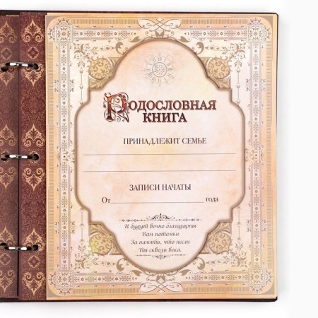 The genealogy book with a frame under the photo "Pedigree Book", under a tree, 50 sheets, 21.5 x 23.7 cm-6