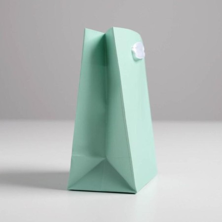 Gift package, packaging, “mint”, 11.5 x 14.5 x 6 cm-1