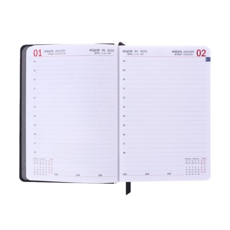 Dated diary 2025, A6+, 176 sheets "Lyon", solid cover, pancake embossing, with liesa, block 80 g/m2, black-10