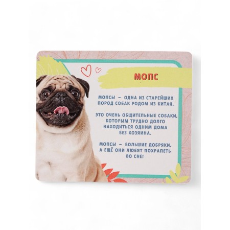 Toy - surprise "Pets. Dogs "-15