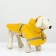 Dog raincoat, size XL (DS 30-35, OG 38-43, Osh 26-31 cm), yellow