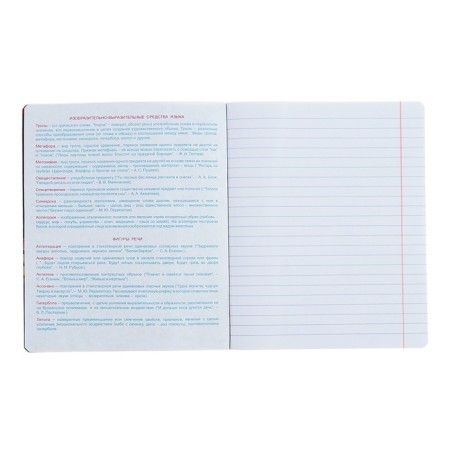 Notebook “World of the Future”, 48 sheets in a ruler, “Literature”, coated cardboard, metallized paint, OFSET block-3