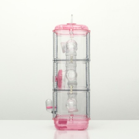 A cage for rodents with a tunnel and filling, 32 x 21 x 55, cm, pink-1