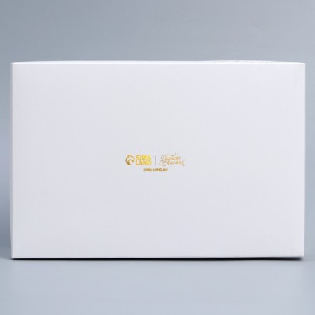 Confectionery box for mousse cakes "Present", 27 x 17.8 x 6.5 cm-3