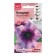 Flowers of Petunia "Mirage Plam Crystal", 10pcs