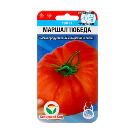 Seed Tomat Marshal Victory, mid -season, 20 pcs