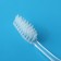 Toothbrush, 17.5 cm, transparent/blue color
