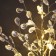 LED bush "Lessons" 35 × 26 × 3 cm, 10 LED, constant glow, from batteries CR2032x2 (complete), glow of warm white