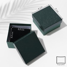 Gift box for the watch 