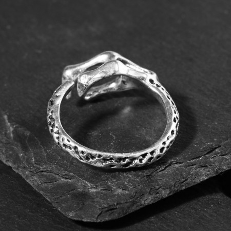 Ring "Right" The dragon's claw, the color is black silver, dimensionless-2