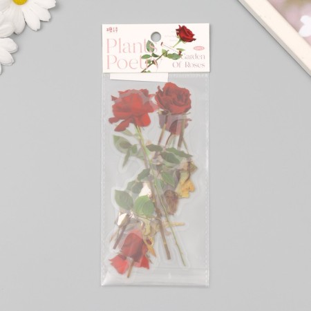 Plastic stickers "Flowers and quotes. Red roses" set 12 pcs 8.5x21.5x0.2 cm-3
