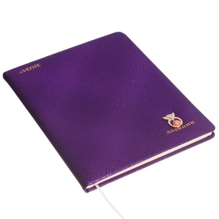 Universal diary for grade 1-11 Foxy, hard cover, artificial leather, foam rubber, lies, 80 g/m2-1