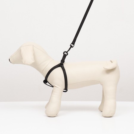 The set is two-layer, leash 130 x 1 cm, og 25-38 cm, black-6