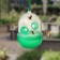 Bee and OS trap, green, Greengo