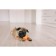 Brying toy "dumbbells with paws" for dogs, 13 cm, green