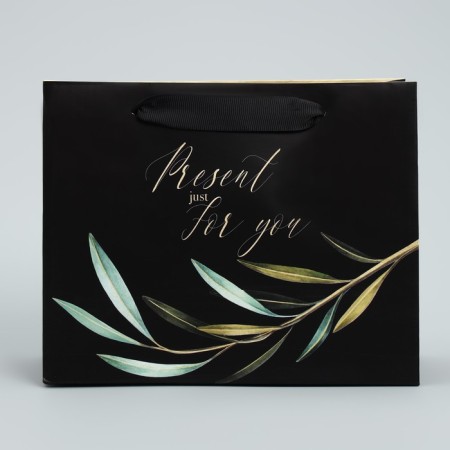Gift Laminated Horizontal Package, Packaging, Present Just for You, 22 x 17.5 x 8 cm-1