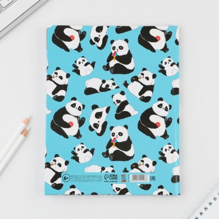 School Diary 5-11 Grade "September 1: Panda", solid cover 7BC, glossy lamination, 48 sheets-8