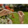 Pomp -sprayer, 5 l, Comfort