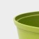 Trendy Style pan, 4 l, glass cover, anti -stick coating, green color