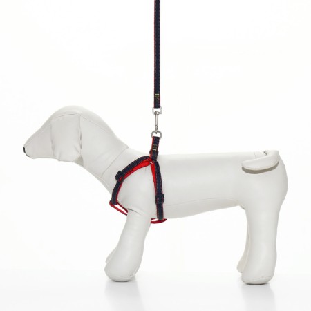 Kit "jeans", leash 120 x 1 cm, og 25-40 cm, red-8